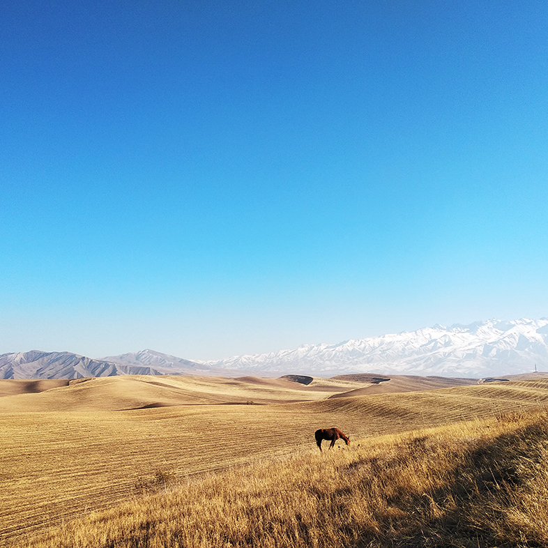 Кыргызстан с Виктором Набутовым: страна Великого шелкового пути