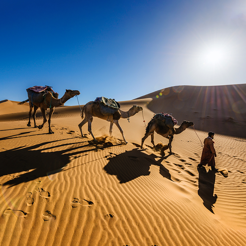 Марокко: путешествие в страну из сказок «Тысячи и одной ночи»