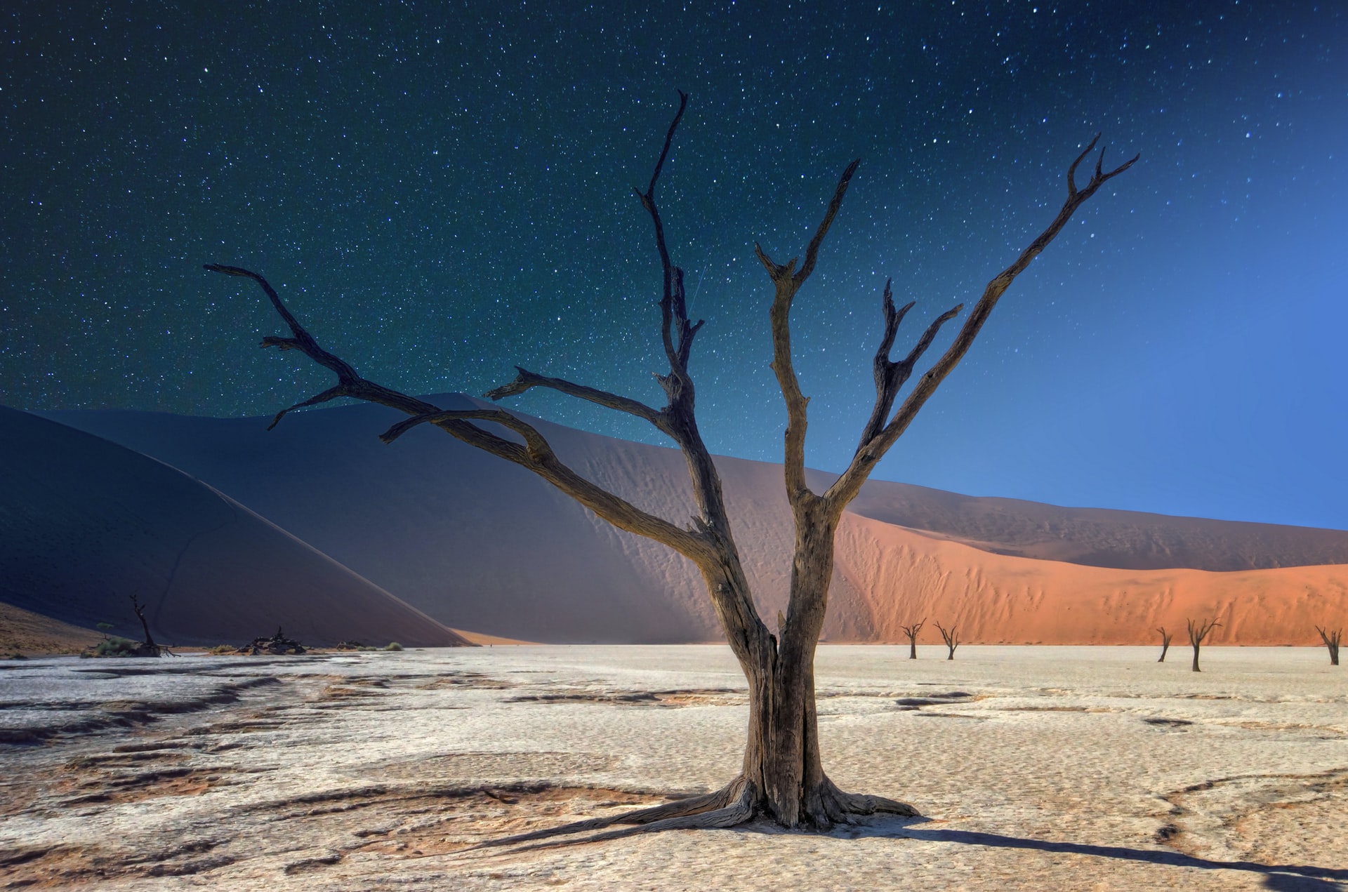 Намибия: сафари, курортные города и пустыня